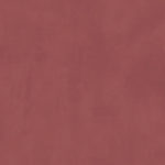 PRATO Grape